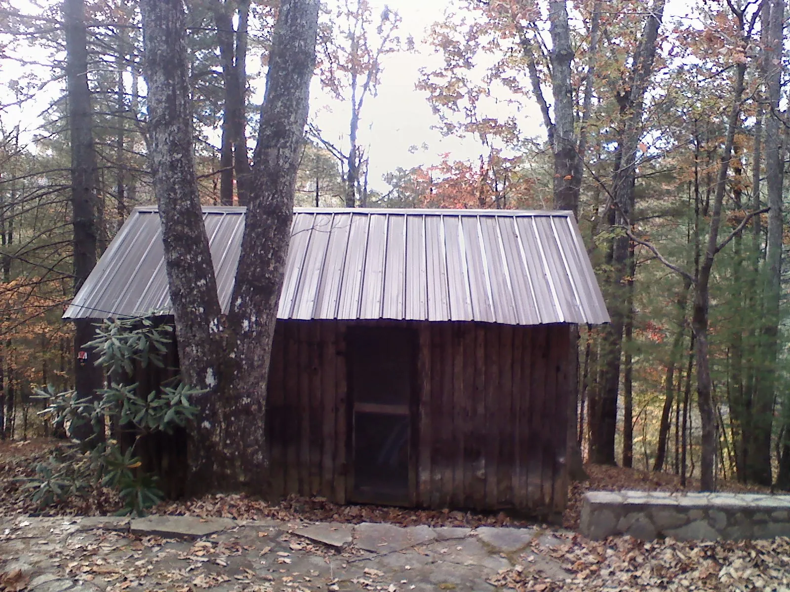 New metal gable roof on a small log shed among the trees in Stanwood