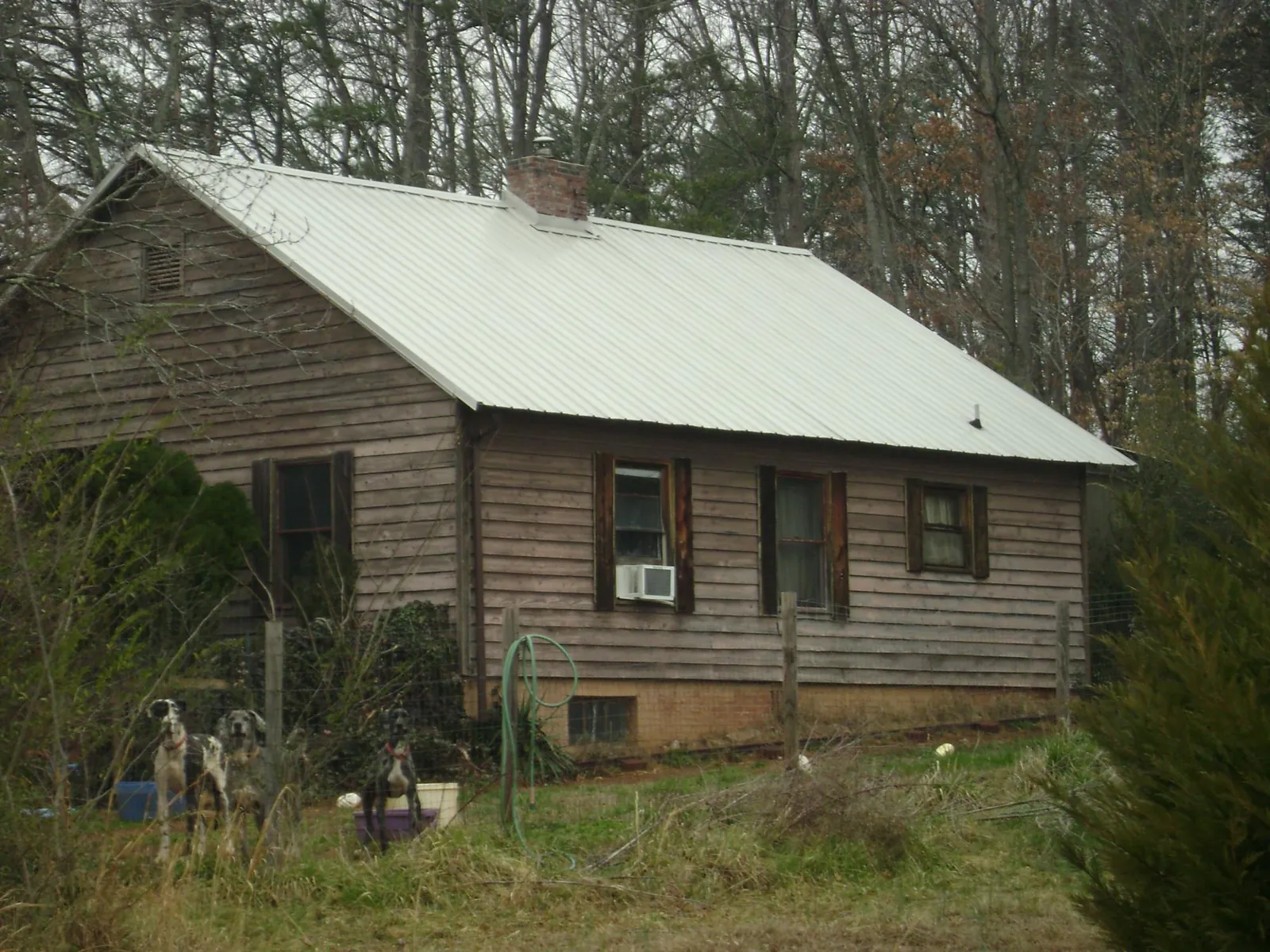 White metal roof on an old wood sided farmhouse, from a Metal Roof Installation job in Stanwood